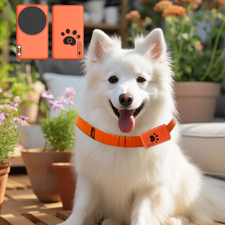 AI Wearable Pet Health Monitor - Breath Rate Monitor reseña y precio